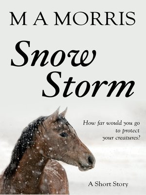 cover image of Snow Storm